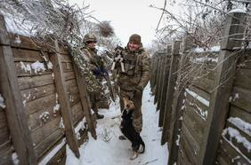 Ratones y enfermedades por contagio: los enemigos comunes para los soldados rusos y ucranianos