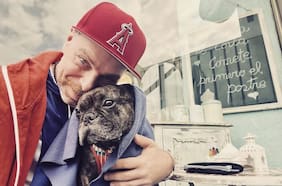 Cuáles son los alcances de la “Ley Duque”: el proyecto que busca un permiso en el trabajo por la muerte de una mascota