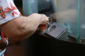 Fuerte repunte de créditos entregados por la Tía Rica: en el primer trimestre crecen más de 40%