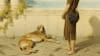 Argos, la desgarradora historia del perro que esperó 20 años por Odiseo