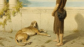 Argos, la desgarradora historia del perro que esperó 20 años por Odiseo