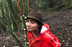 El reino Fungi se toma la gastronomía