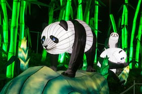 Fesiluz Cerrillos se extiende hasta abril con su espectáculo de luces chinas