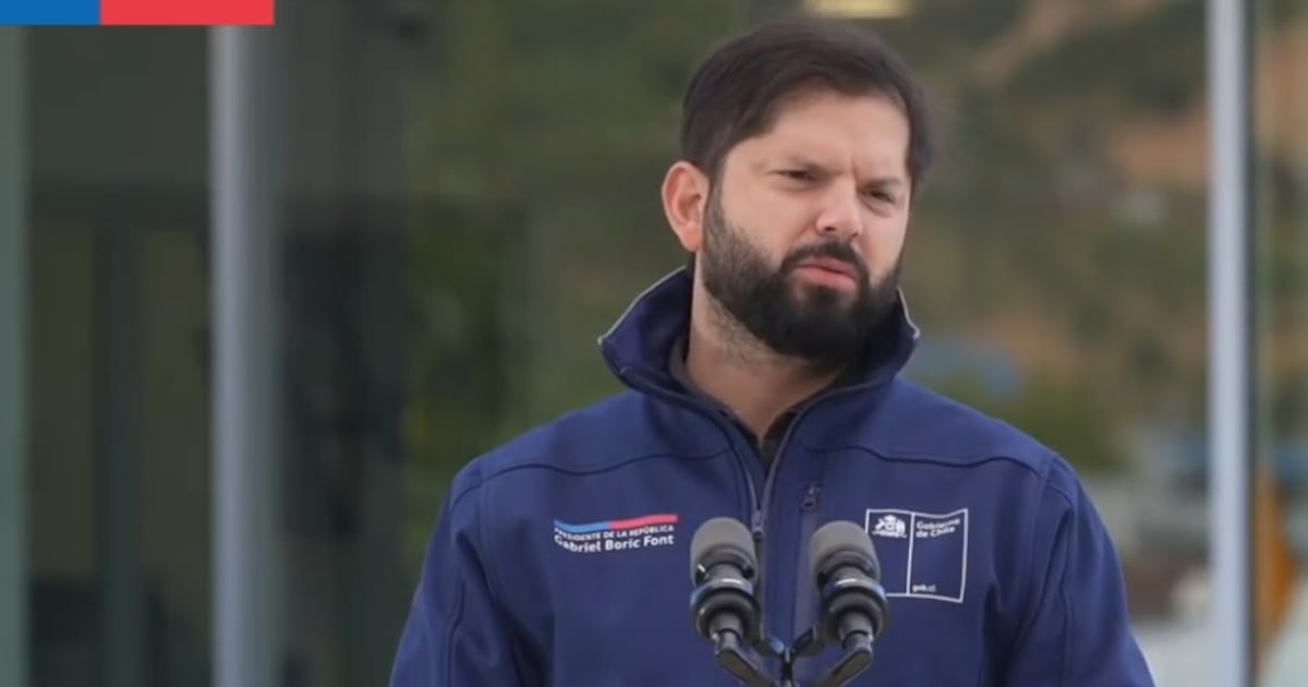 La ola de calor en el centro-sur de Chile: un desafío que revela grietas en la gestión ambiental y social