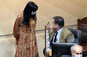 Senadores RN piden a la ministra Siches precisar medidas en materia de seguridad: porte ilegal de armas y comercio ambulante