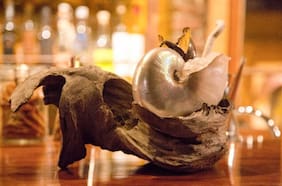 Chharqu: El bar de coctelería ancestral de Peumayen