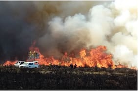 Ha mostrado una mejora del 47% en la predicción: herramienta de IA combate el peligro de incendios forestales
