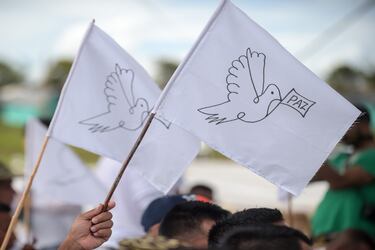 FARC rebels wave peace flags during the final act of abandonment of a