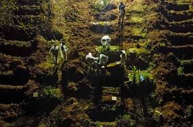 Luis Henrique Mandetta: “Bolsonaro aún no ha entendido la gravedad de la crisis provocada por el Covid-19”