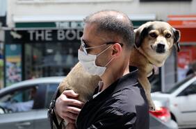 Descubren nuevo coronavirus humano originado en perros; Pfizer dice que en ocho meses debe ponerse dosis de refuerzo y así sabrá si hay una variante chilena: tres cosas que aprendimos del coronavirus esta semana