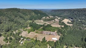 Gobierno pone en marcha obras del embalse Zapallar en Ñuble: beneficiará a más de 2 mil agricultores