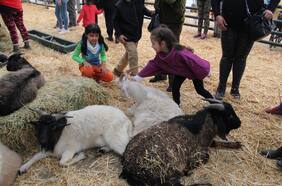 Animal Park: animales para ver y tocar en el Parque Quinta Normal
