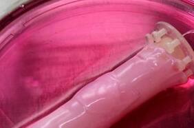 Desarrollan piel humana para usarla en un robot