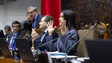 Presidenta del Senado da un respiro al gobierno: rechazada reforma migratoria solo requerirá 29 votos para ser resucitada