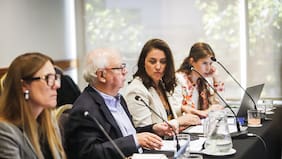 Potasios cita a nueva junta de accionistas para volver a votar la eliminación de las series de acciones