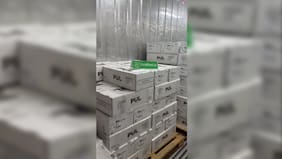 Operativo permite recuperar más de 6 toneladas de carne robada: detienen a 13 personas tras seguimiento en tres comunas de Santiago
