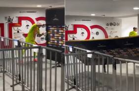 Furia en Barranquilla: la violenta reacción del arquero de Junior tras perder ante Colo Colo en la Copa Libertadores