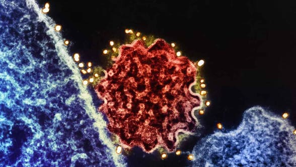 Las 5 infecciones responsables de más de 2 millones de casos de cáncer, según un estudio