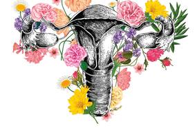 El trasplante de útero