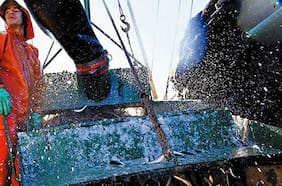 Cooperativa de trabajadores de Friosur ingresó al 20% de la propiedad de la compañía