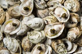 Cómo hacer ostras en escabeche, con puré de coliflor y chocolate blanco