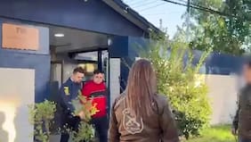 Casa de torturas: cae líder operativo de la banda y suman 12 los detenidos por los crímenes en San Vicente de Tagua Tagua