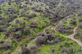 ¿A quiénes pertenecen nuestros parques?
