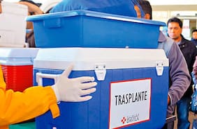 Minsal abre sumario: hígado donado por niña de 5 años no llegó a Santiago por falta de avión