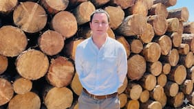 CEO de Forestal Santa Blanca y negocio de aserraderos: “El alza del diésel nos pegó muy duro, estancó bastante la demanda”