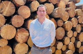 CEO de Forestal Santa Blanca y negocio de aserraderos: “El alza del diésel nos pegó muy duro, estancó bastante la demanda”