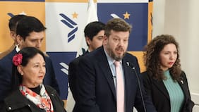 Kaiser (PNL): “Esperábamos una disposición más clara del Ejecutivo de hacerse cargo de nuestro proyecto de indulto general”