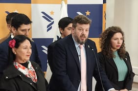 Kaiser (PNL): “Esperábamos una disposición más clara del Ejecutivo de hacerse cargo de nuestro proyecto de indulto general”