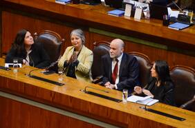 Proyecto que mejora la Ley Sanna avanza en el Congreso