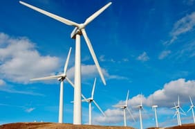 Empresas y naturaleza