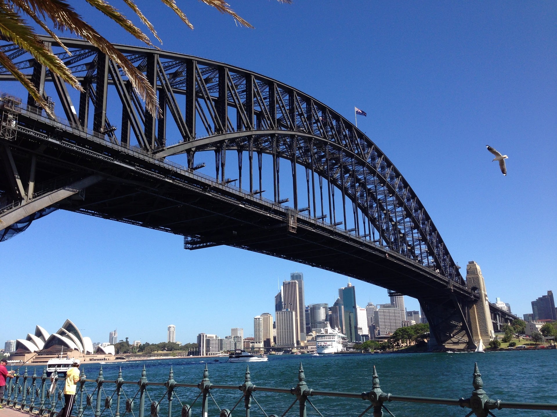 Australia, un camino educacional para Chile