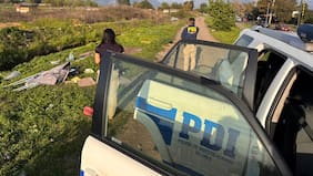 Encarcelan a sujeto imputado por dar muerte a un cachorro de perro para luego asarlo en la calle