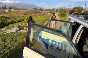 Encarcelan a sujeto imputado por dar muerte a un cachorro de perro para luego asarlo en la calle