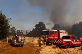Conaf sostiene que en algunos sectores de La Araucanía brigadistas no pueden “entrar” para combatir incendios forestales