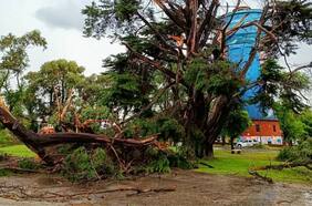Fuerte temporal azotó la ciudad de Miramar en Argentina