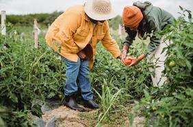 Ministerio de Agricultura extenderá declaración de emergencia agrícola en 13 regiones del país