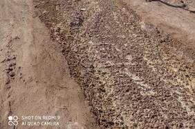 Superintendencia de Medio Ambiente dicta medidas contra minera Mantos Copper por afectación de la Ruta 5 Norte