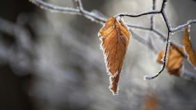 DMC alerta por nevadas y vientos moderados a fuertes en regiones del norte grande y chico