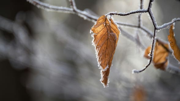 DMC alerta por nevadas y vientos moderados a fuertes en regiones del norte grande y chico