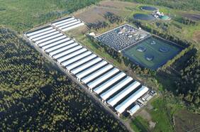 SMA multa a empresa Agrícola y Ganadera Chillán Viejo por incumplimientos ambientales