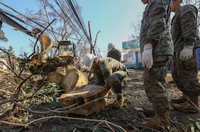 Cortes de luz: ¿Por qué se caen los árboles en la RM?