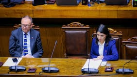 Por unanimidad: Senado aprueba proyecto que evita que condenados por VIF accedan a pensión de sobrevivencia