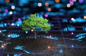 Cómo la inteligencia artificial podría ayudar a combatir la crisis climática, según The Economist