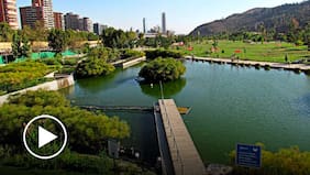 Mentes en Movimiento: ¿Por qué los barrios más ricos tienen más áreas verdes?