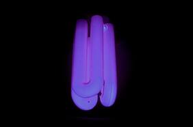 Científicos descubren método que mata el 99,9% del coronavirus en 30 segundos y WhatsApp dejará de funcionar el 1 de enero en estos iPhone y Samsung