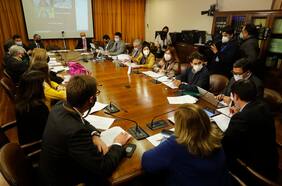 Diputados de la Comisión de Constitución aprueban la idea de legislar el proyecto que declara inexpropiables los fondos de pensiones